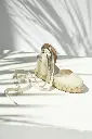 1000865636.webp